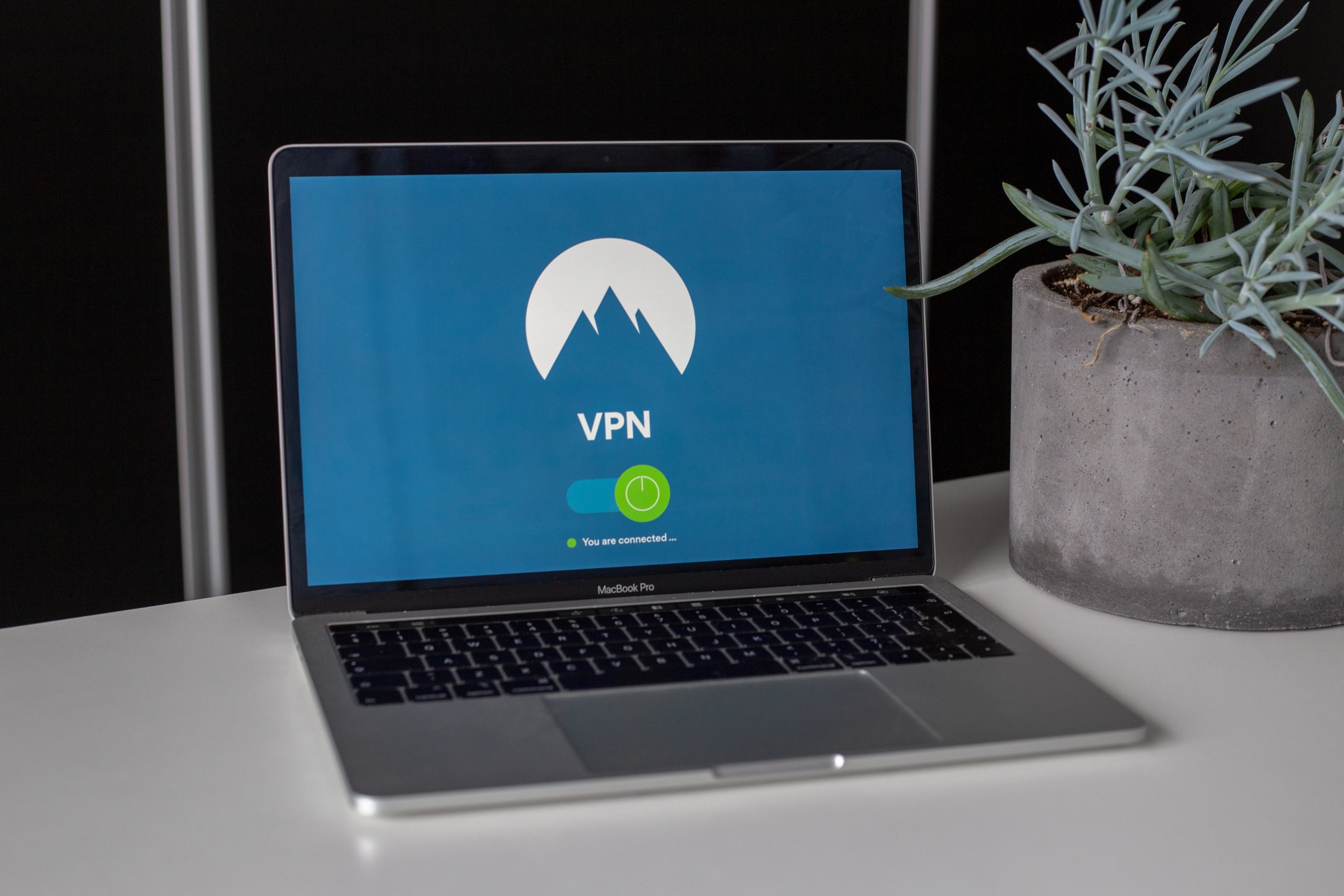 VPN 하나만 딱 골라야 한다면?